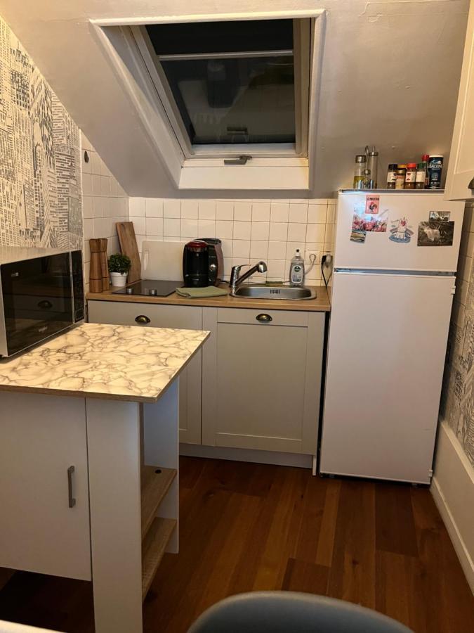 Appartement Cosy La Treille Vieux Lille Eksteriør billede